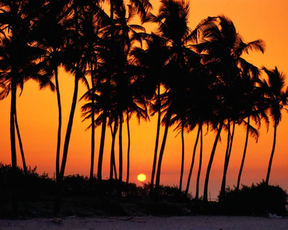 Bhogwe Beach, Kudal