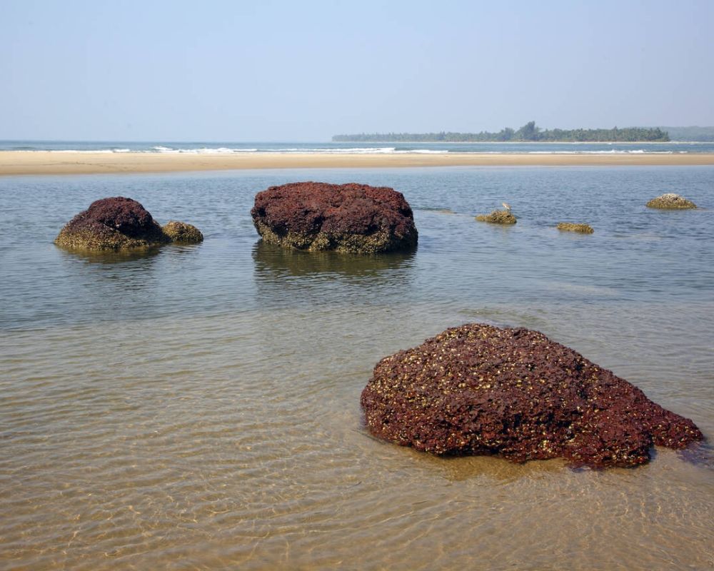 Bhogwe Beach, Kudal