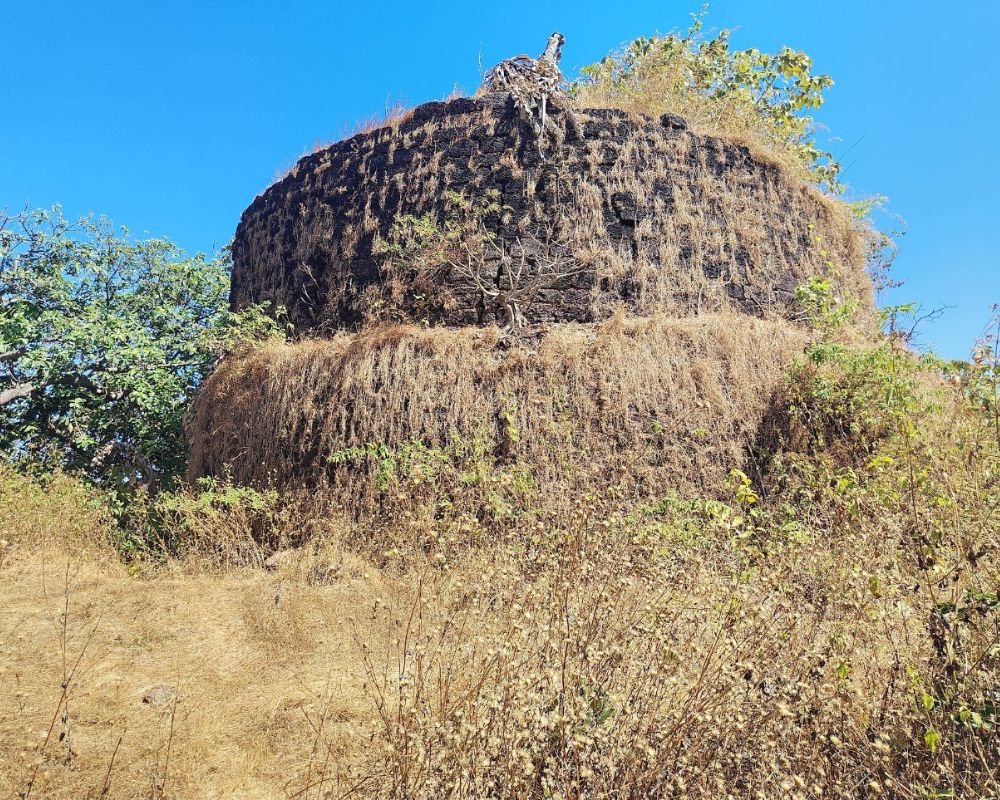Kille Nivati Fort