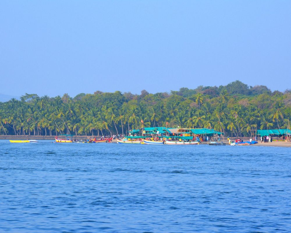 Tsunami Island, Devbag
